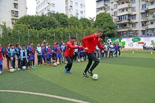 江教在线  第2张