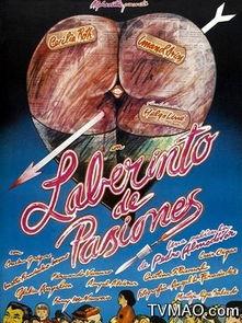 哔哩哔哩app在线视频观看 