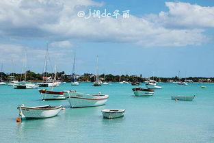 58影视免费观看在线观看高清  第1张