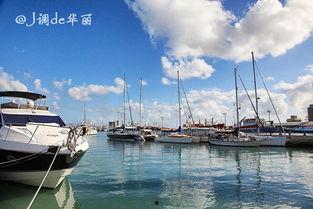 58影视免费观看在线观看高清  第2张