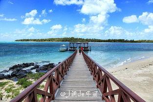 58影视免费观看在线观看高清  第3张